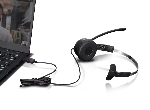 ������� ������ Lenovo 100 Mono USB Headset 4XD1B61617