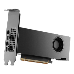 כרטיס מסך NVIDIA RTX PRO™ 2000 Blackwell 16GB כרטיס מסך NVIDIA RTX PRO™ 2000 Blackwell 16GB