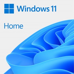 Win 11 Home 64Bit 